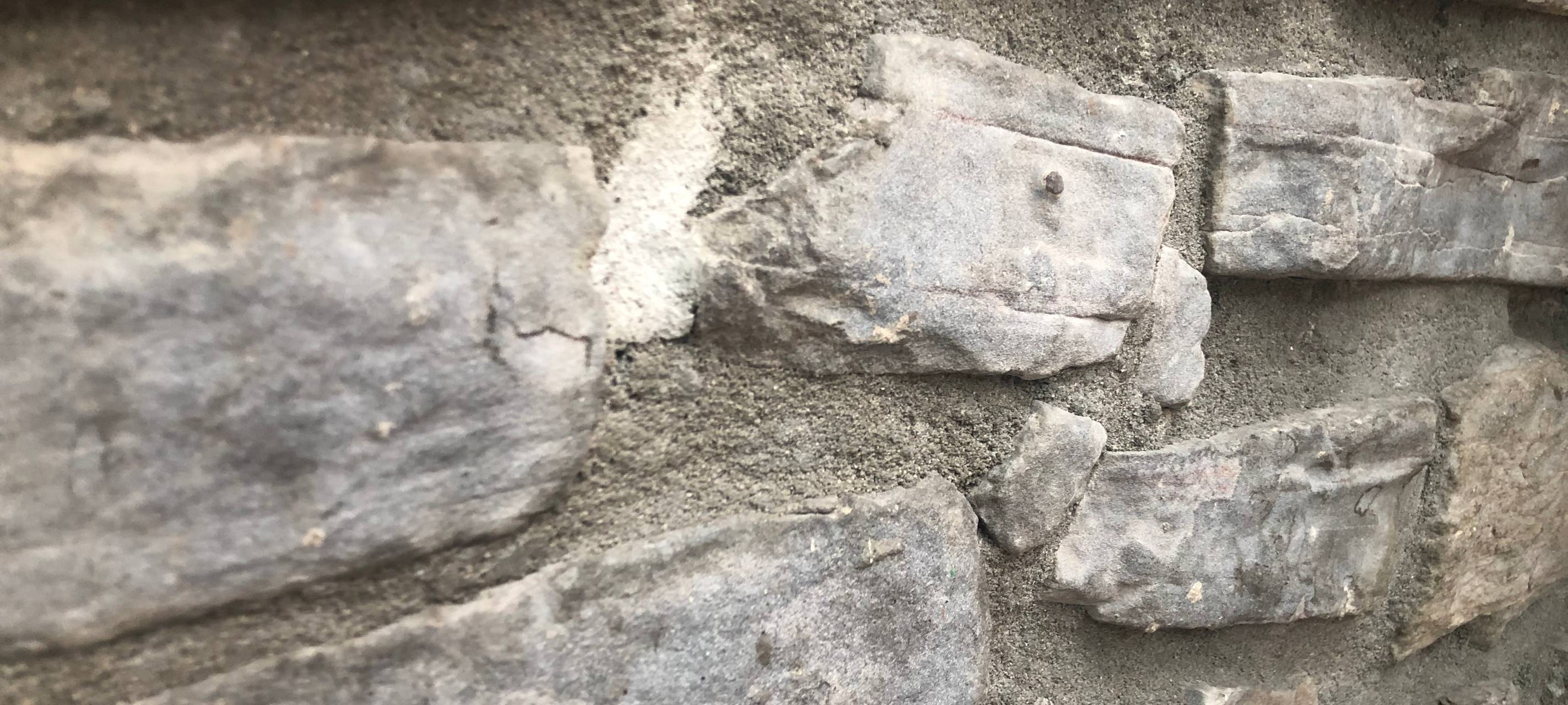 Die Radio Essen Reportersuche: Das war "Wo sind Emily und Maxi".