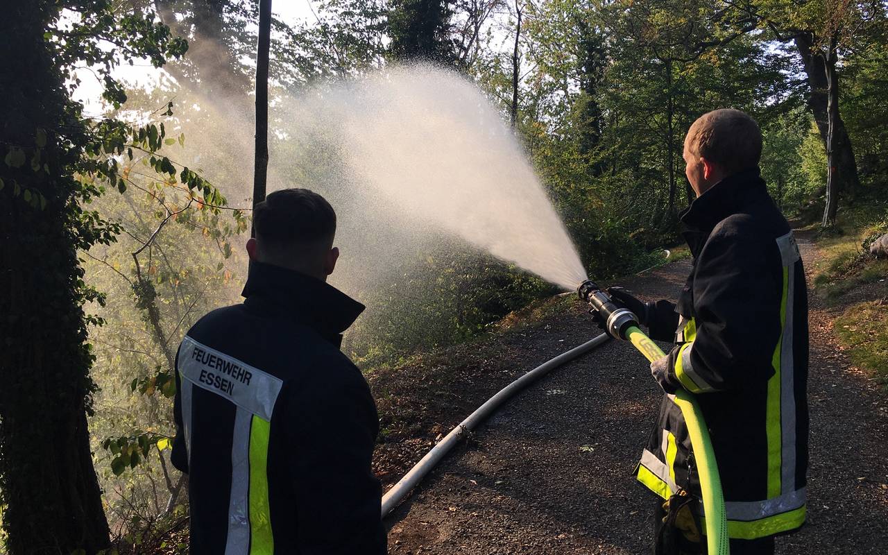 Feuerwehrmänner löschen Waldbrand in Essen