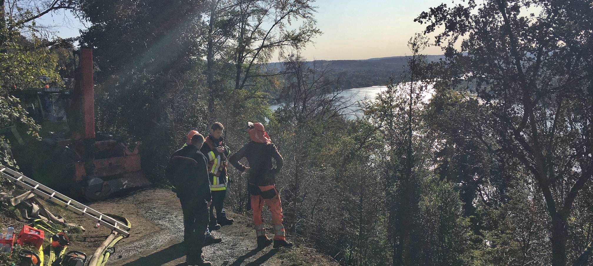 Schellenberger Wald in Essen nach dem großen Waldbrand