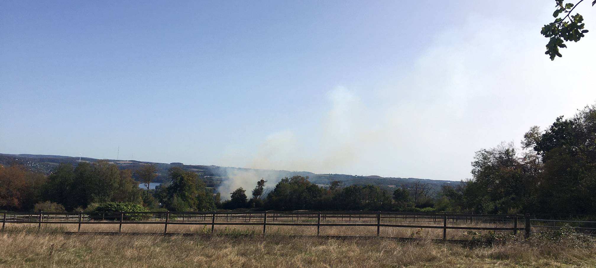 Waldbrand in Essen nahe der Heimlichen Liebe