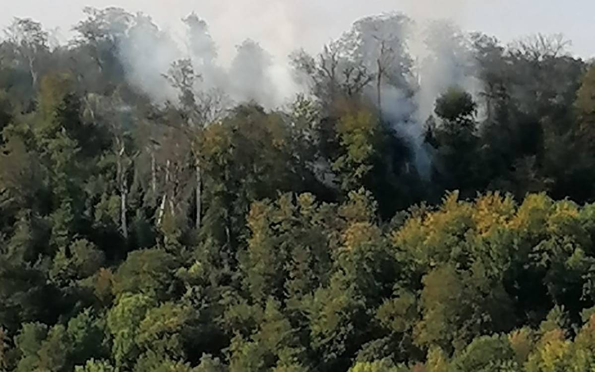 Waldbrand vom Ufer in Essen