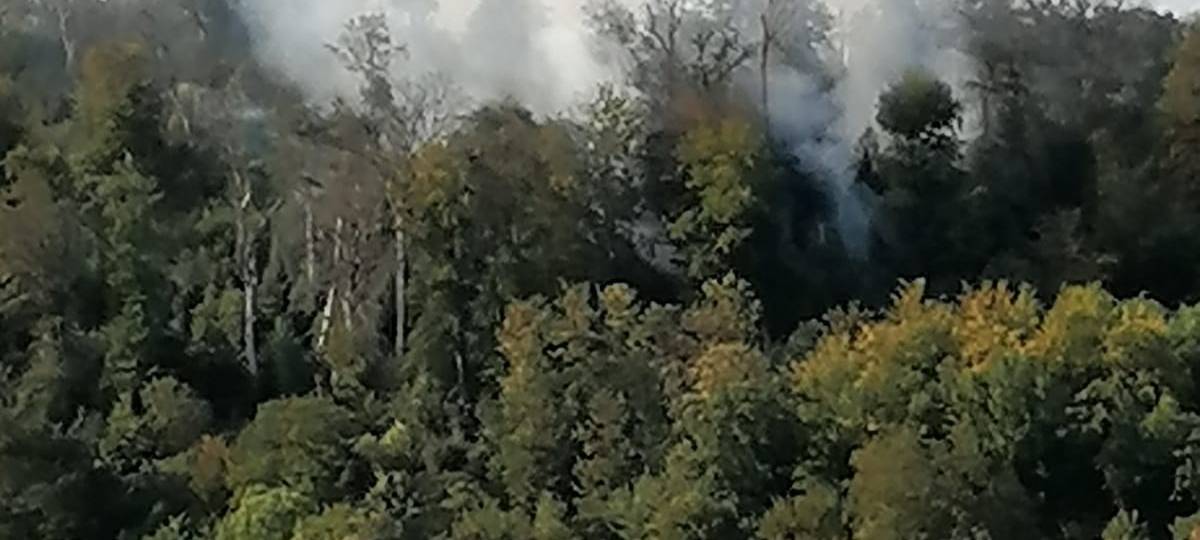 Waldbrand vom Ufer in Essen