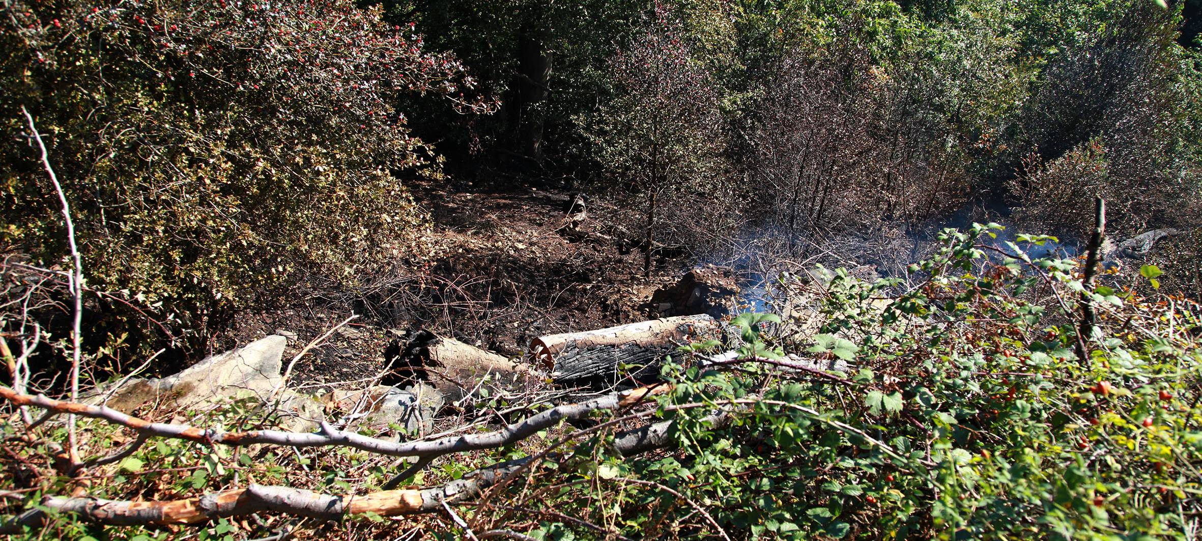 Waldbrand in Essen doch noch nicht ganz gelöscht