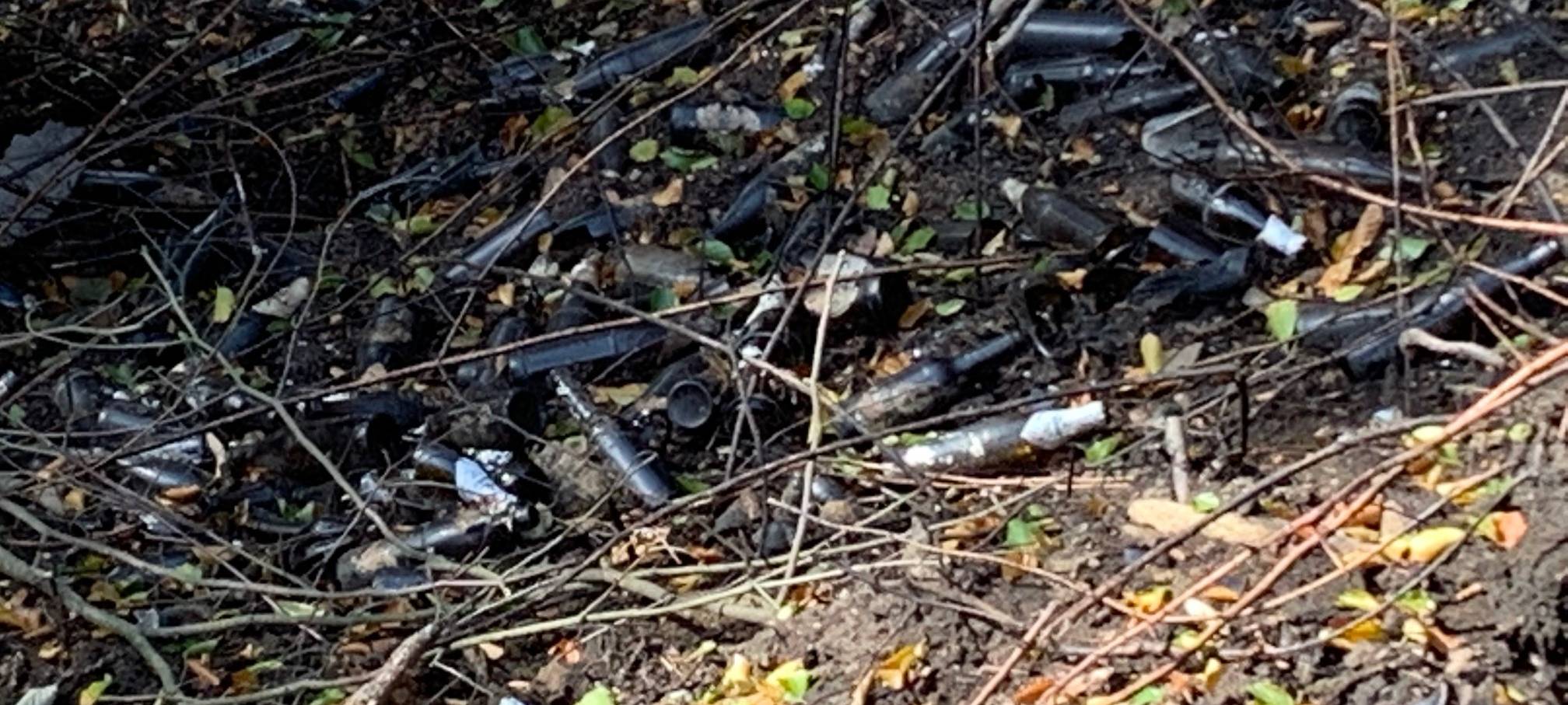 Waldbrand in Essen doch noch nicht ganz gelöscht