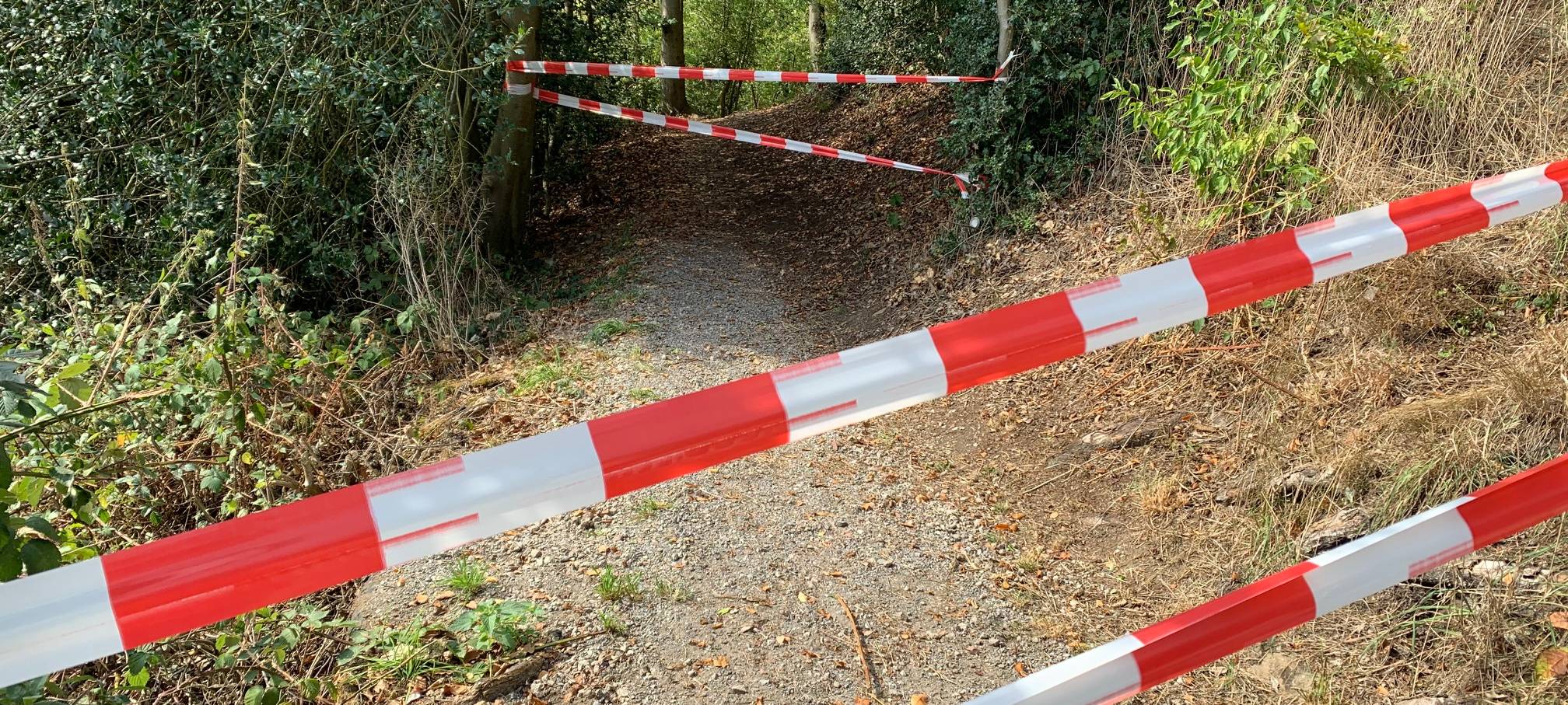 Waldbrand in Essen doch noch nicht ganz gelöscht