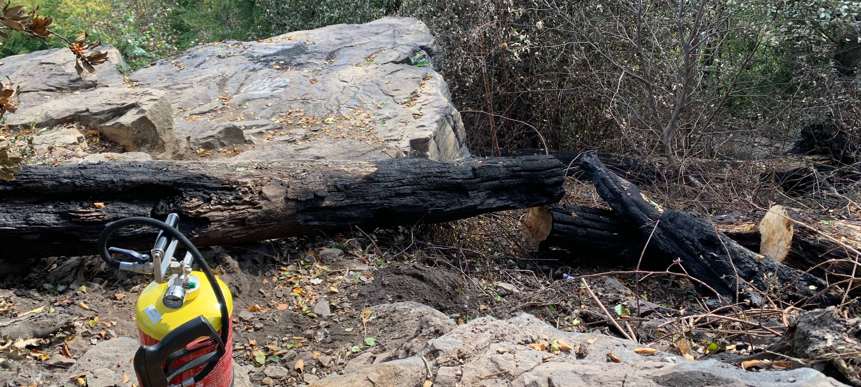 Waldbrand in Essen doch noch nicht ganz gelöscht