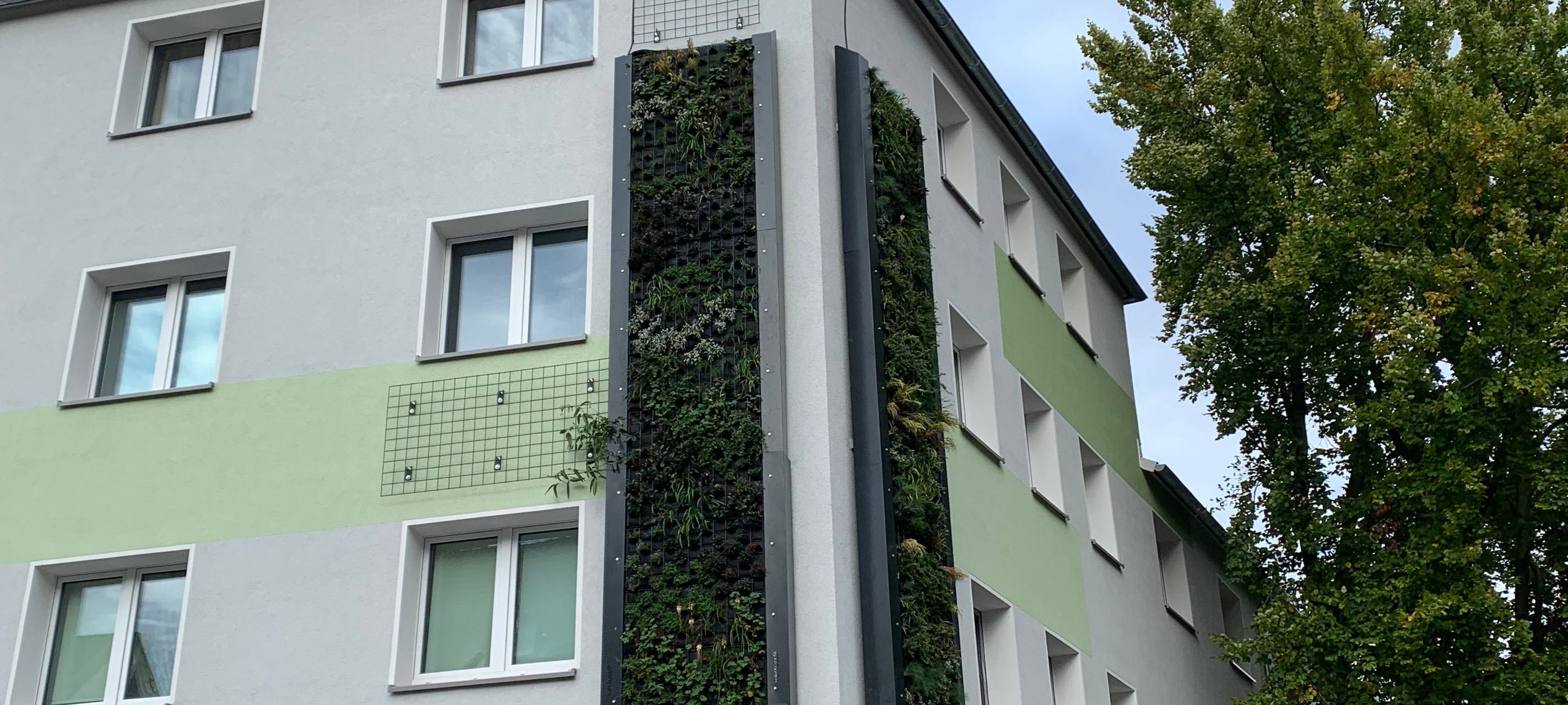Essen: Grüne Häuserwände für besseres Klima an Hauptstraße!