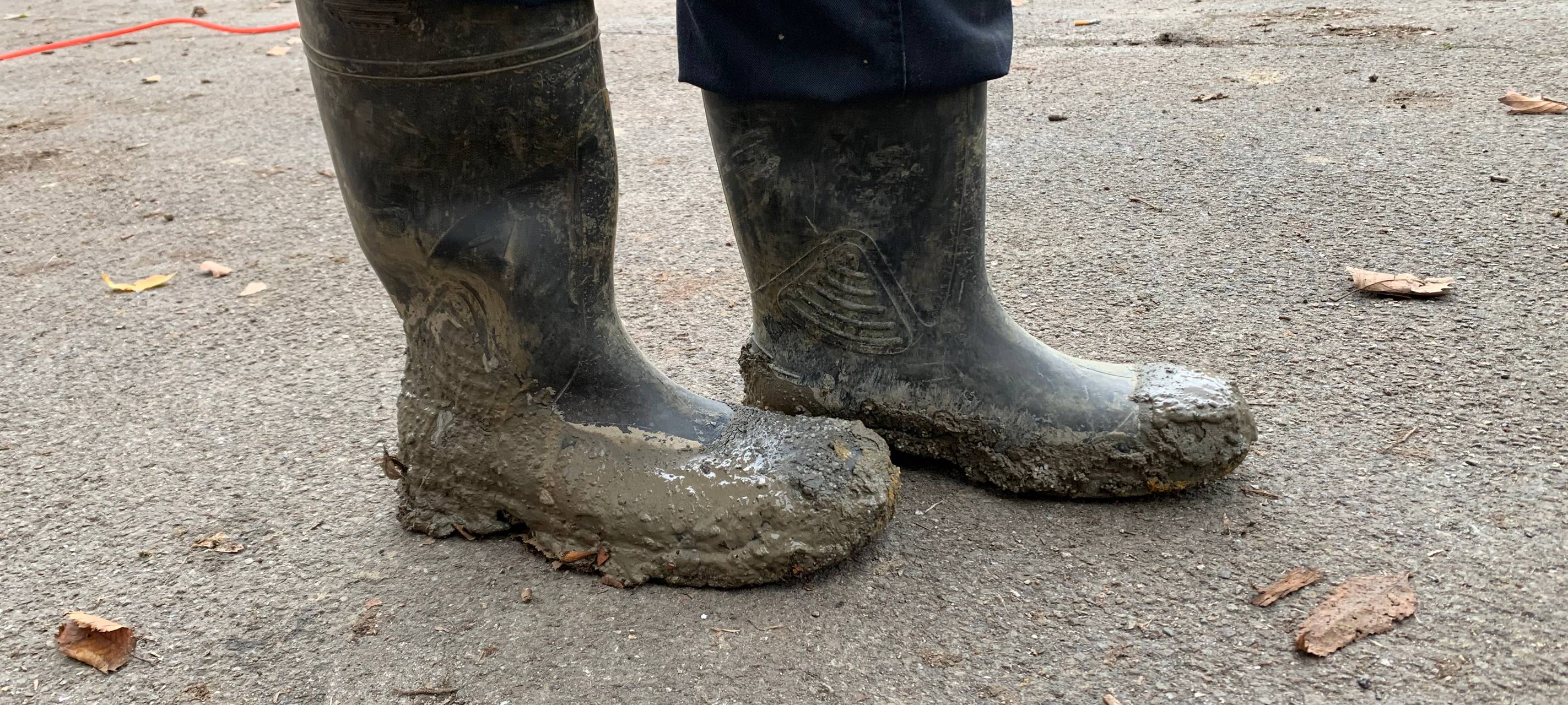 Bombenentschärfung in Essen-Altenessen