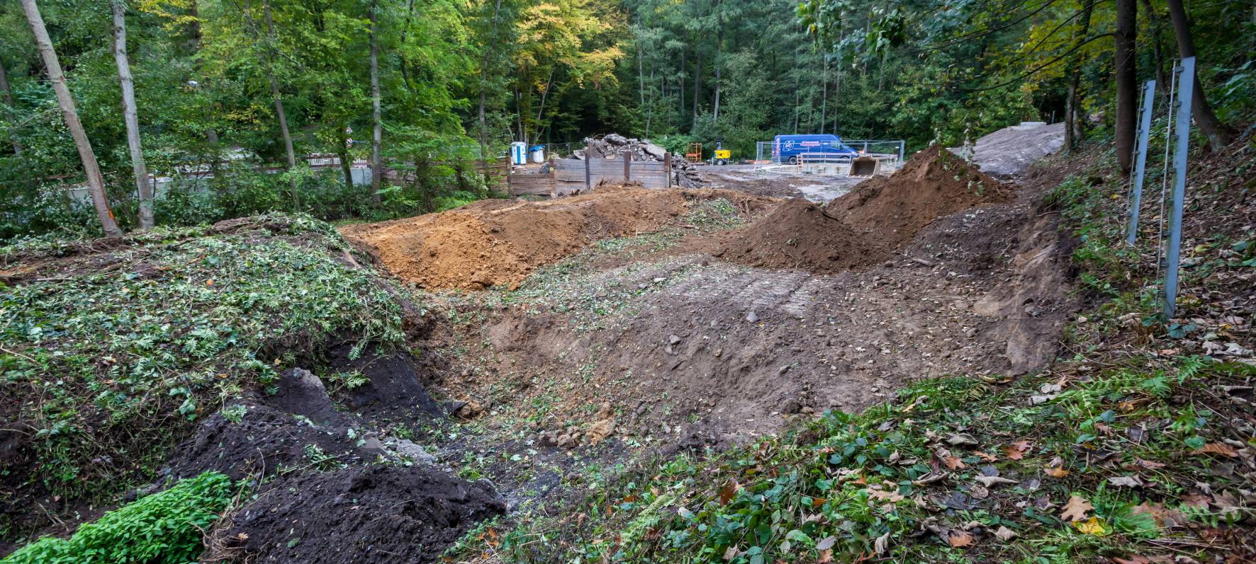 Neues Waldstück in Essen: Grund ist ein neuer Abwasserkanal