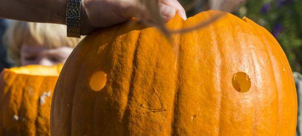 Das könnt Ihr in den Herbstferien in Essen machen!