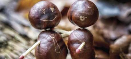 Herbst-Tipp: Basteln mit Materialien aus der Natur