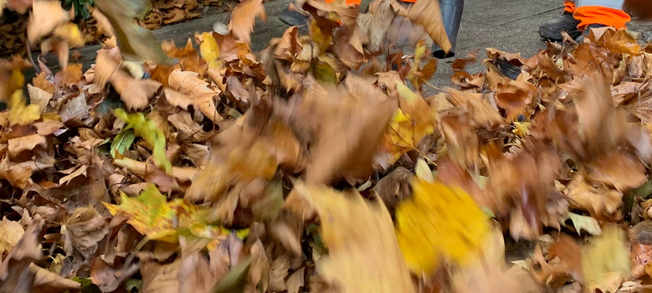 Essen: Laubsaison startet