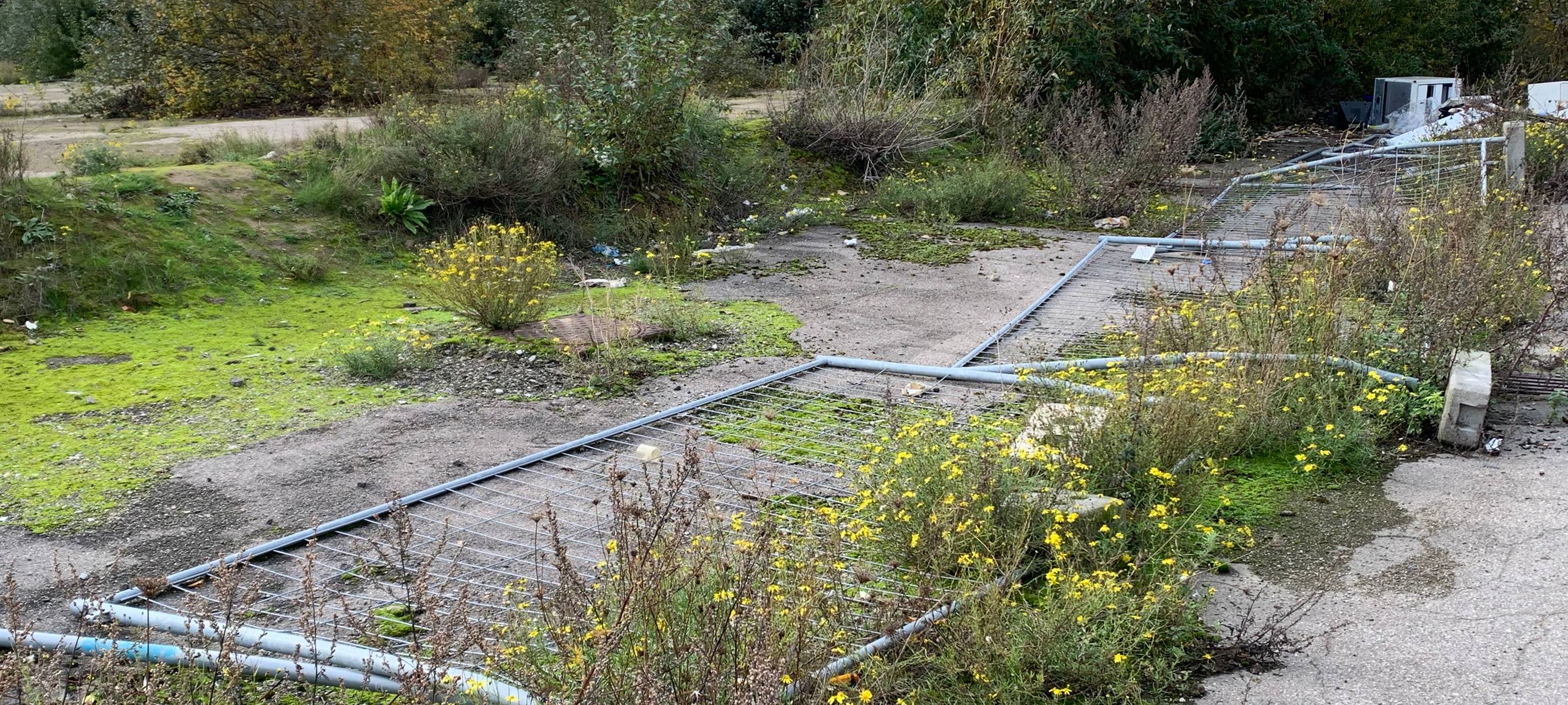 Essen: Baubeginn auf altem REAL-Gelände