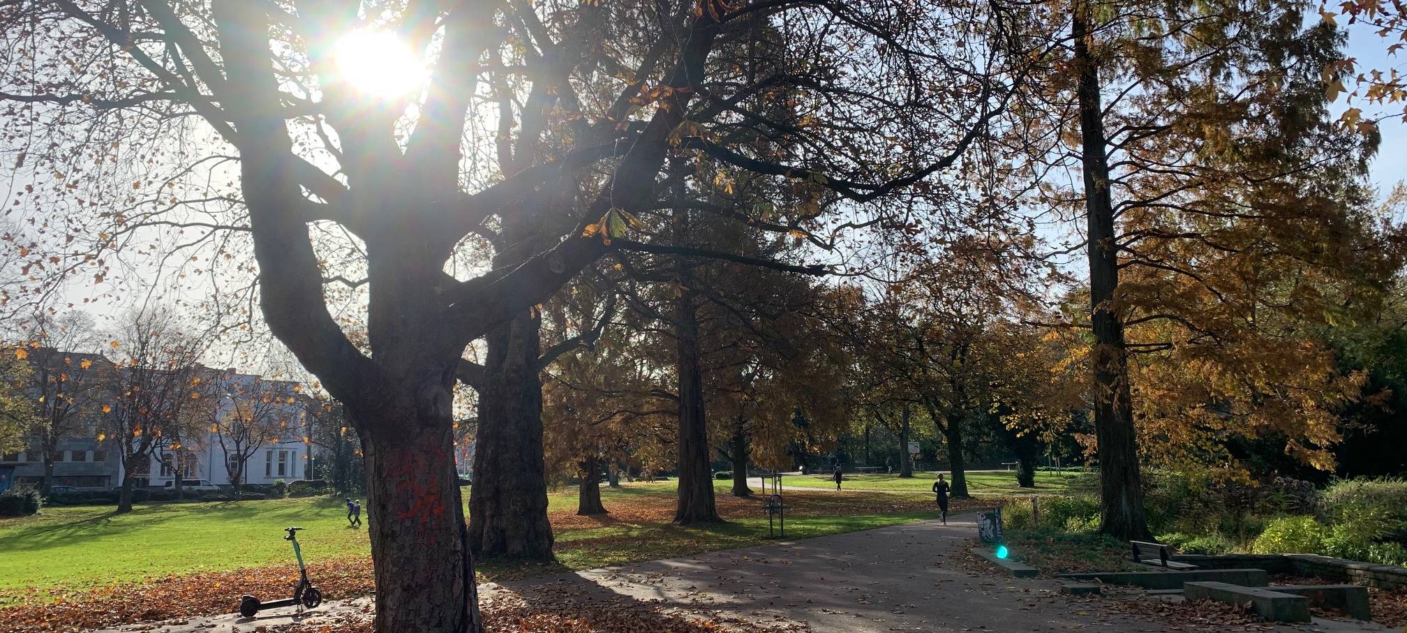 Essen: Corona-Regeln werden weitgehend eingehalten