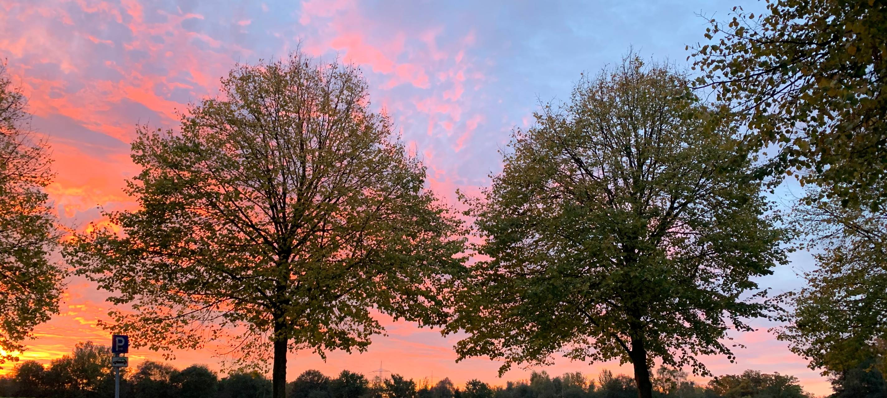 Essen: Kunst auf dem Acker