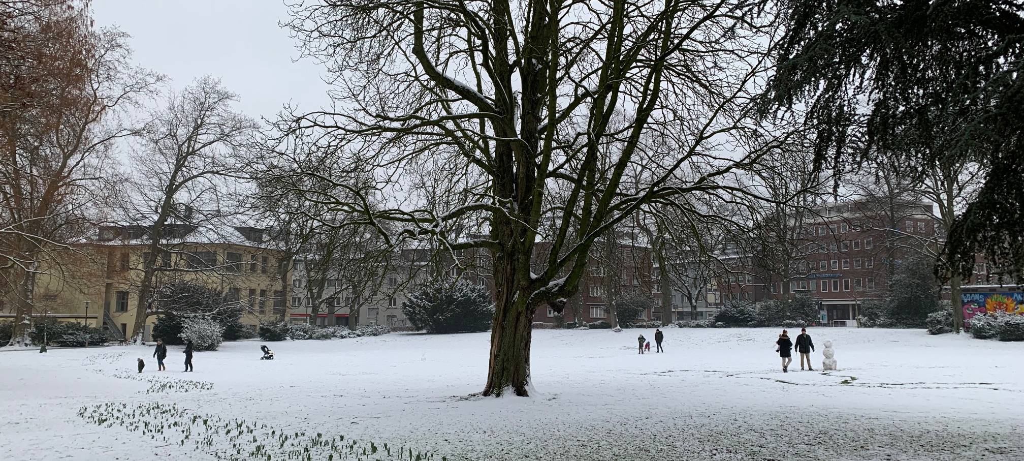 Schnee sorgt in Essen nicht für Verkehrschaos