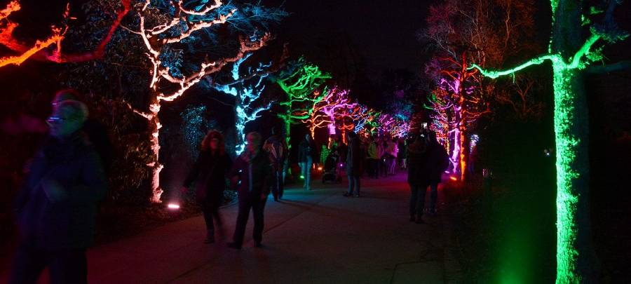 Das Parkleuchten im Grugapark muss wegen Corona erstmal abgesagt werden. Es sollte eigentlich Anfang Februar stattfinden.