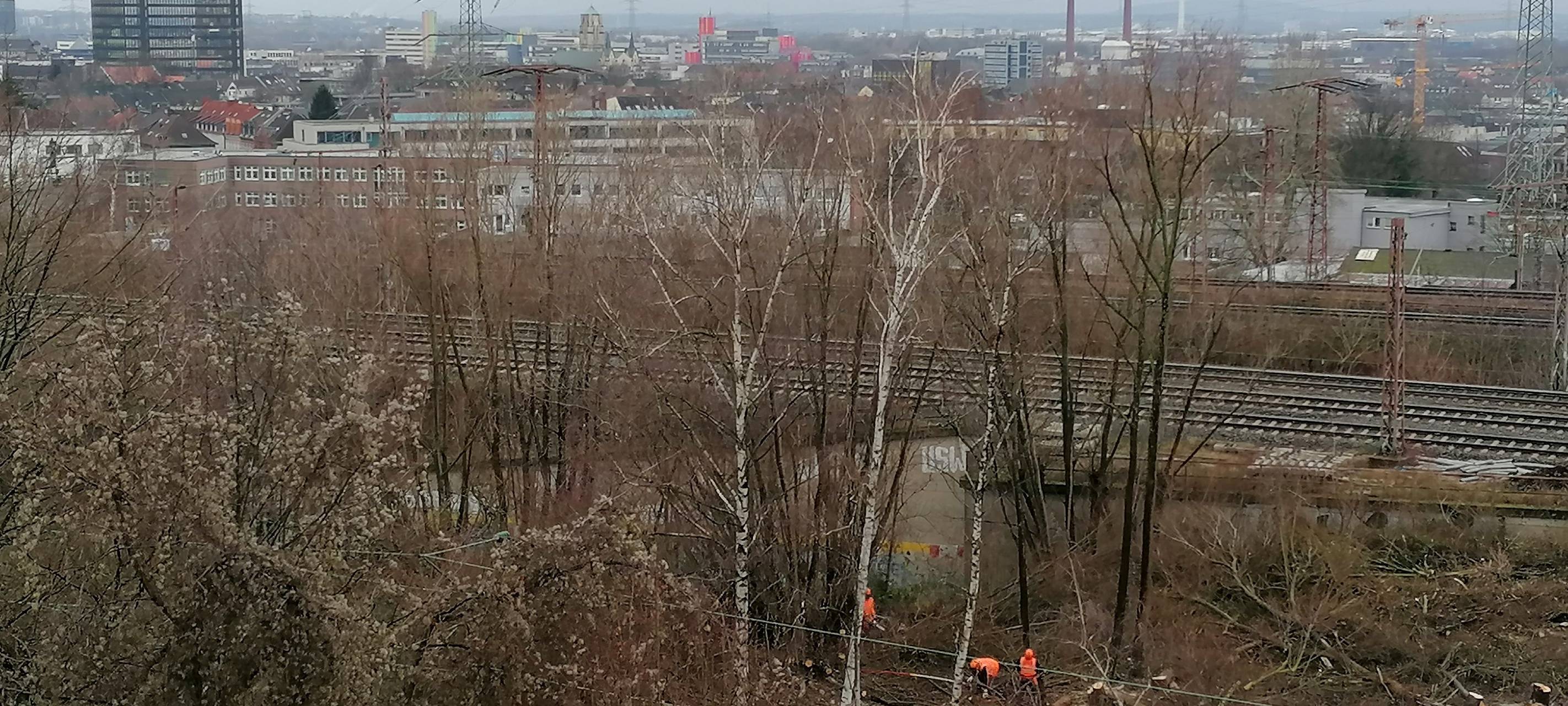 Essen: Kahlschlag am Hauptbahnhof