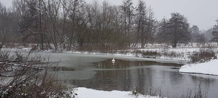 Essen: Winter an der Ruhr zu trocken - Problem für Talsperren?