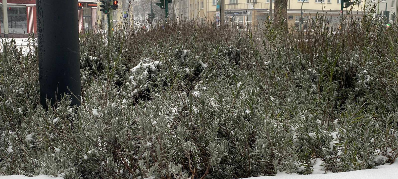 Winter-Chaos in Essen: Eis und Schnee sorgen für Verkehrsprobleme