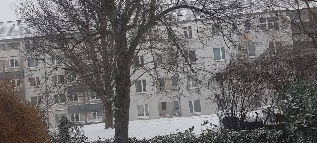 Winter-Chaos in Essen: Eis und Schnee sorgen für Verkehrsprobleme