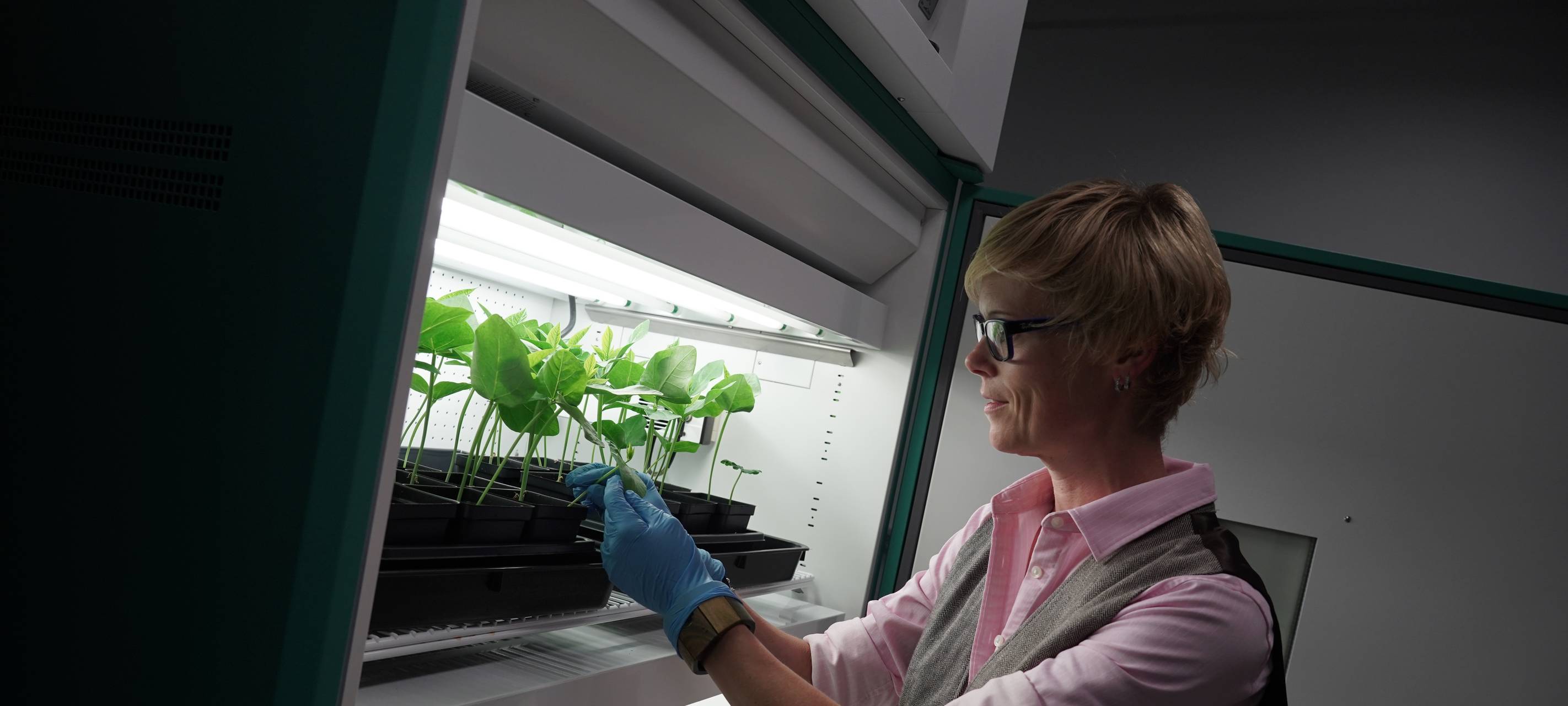 Essen: Corona-Pflaster als Impfung? Erste Tests laufen