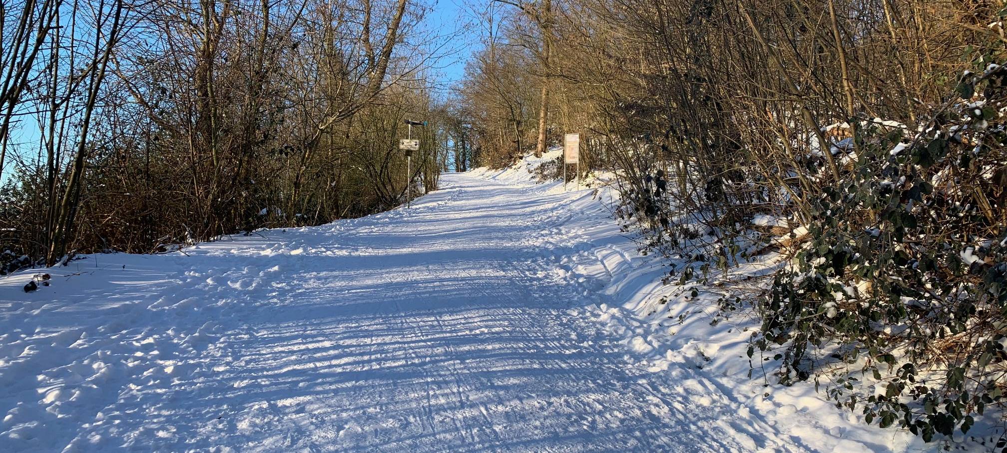 Schnee in Essen: Die schönsten Orte zum Schlittenfahren