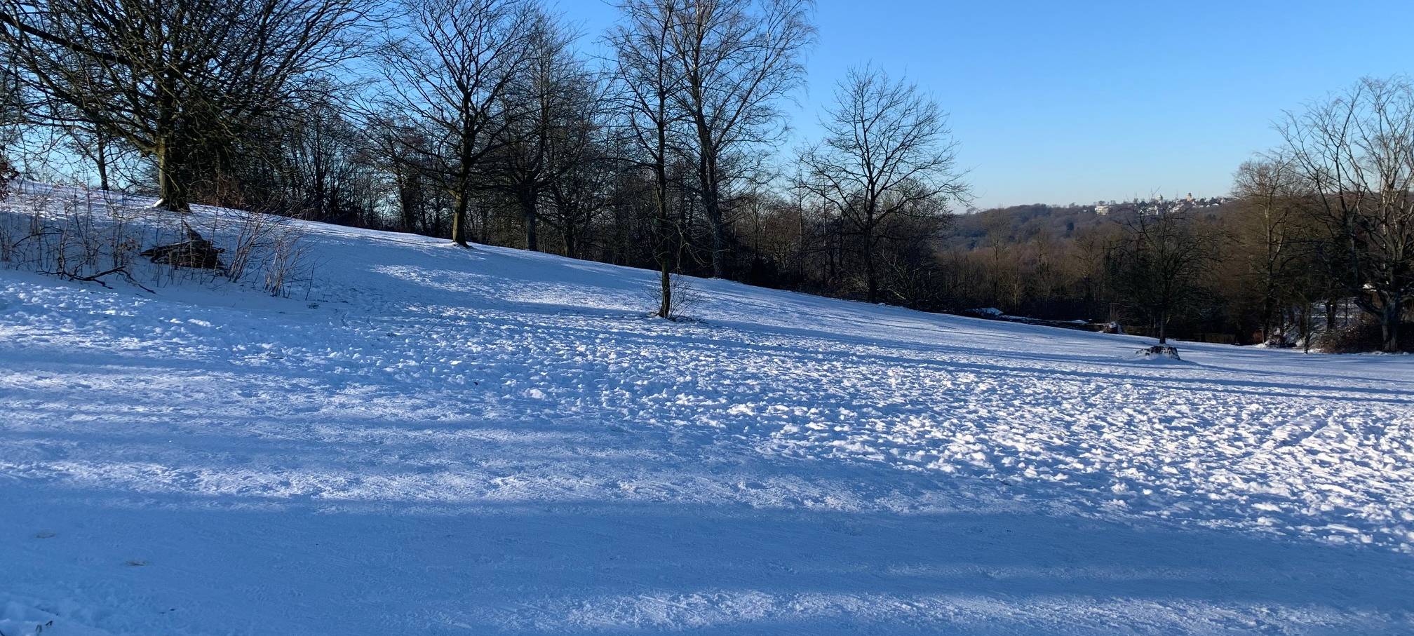 Schnee in Essen: Die schönsten Orte zum Schlittenfahren