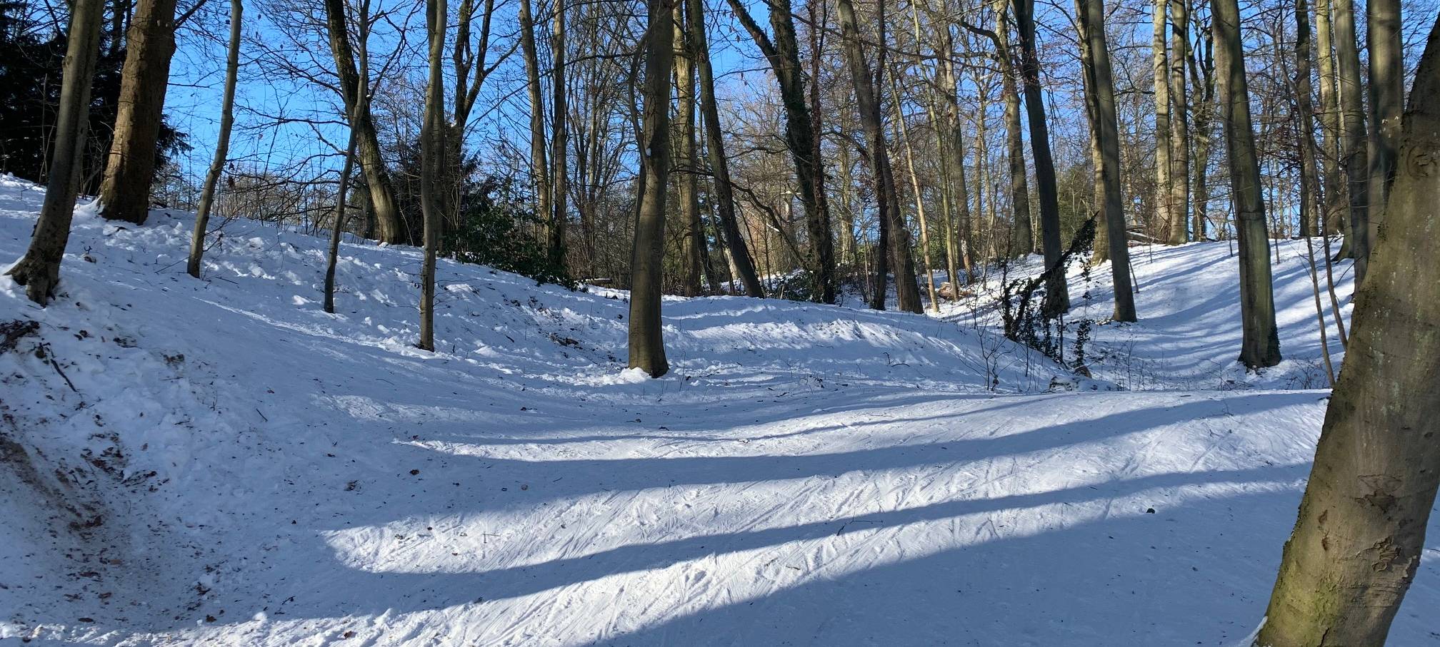 Schnee in Essen: Die schönsten Orte zum Schlittenfahren