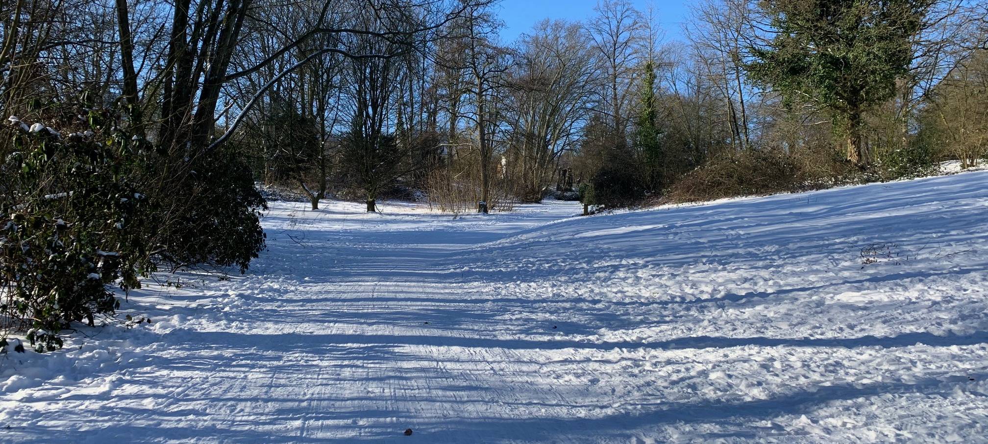 Schnee in Essen: Die schönsten Orte zum Schlittenfahren