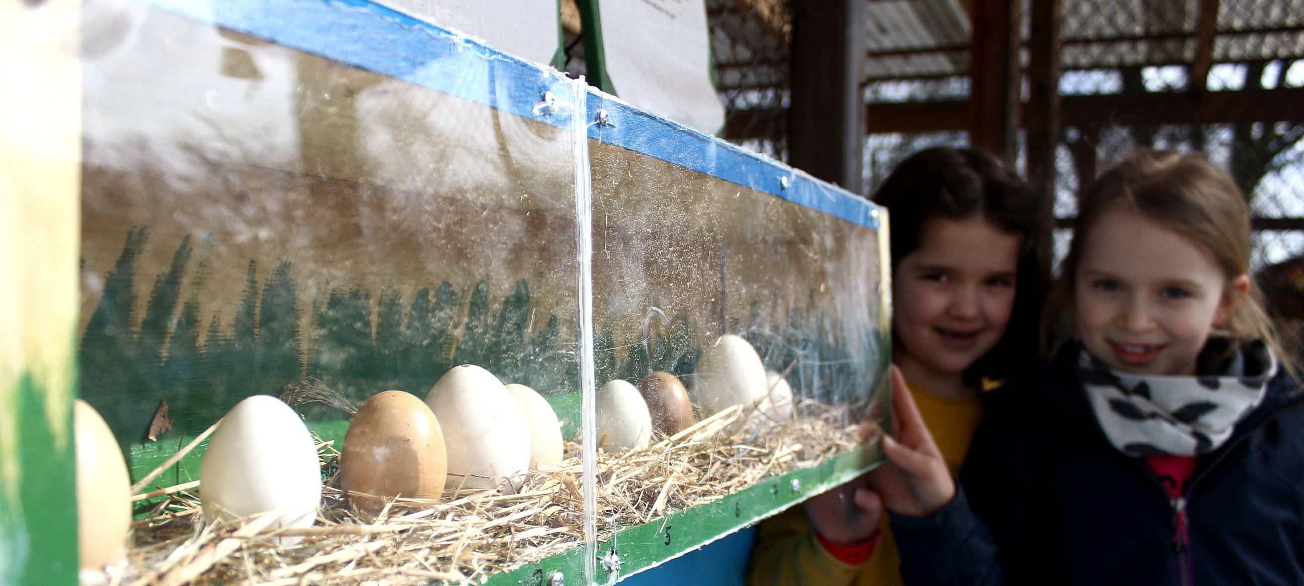 Essen: Osterferienspaß der Jugendhilfe und ETB