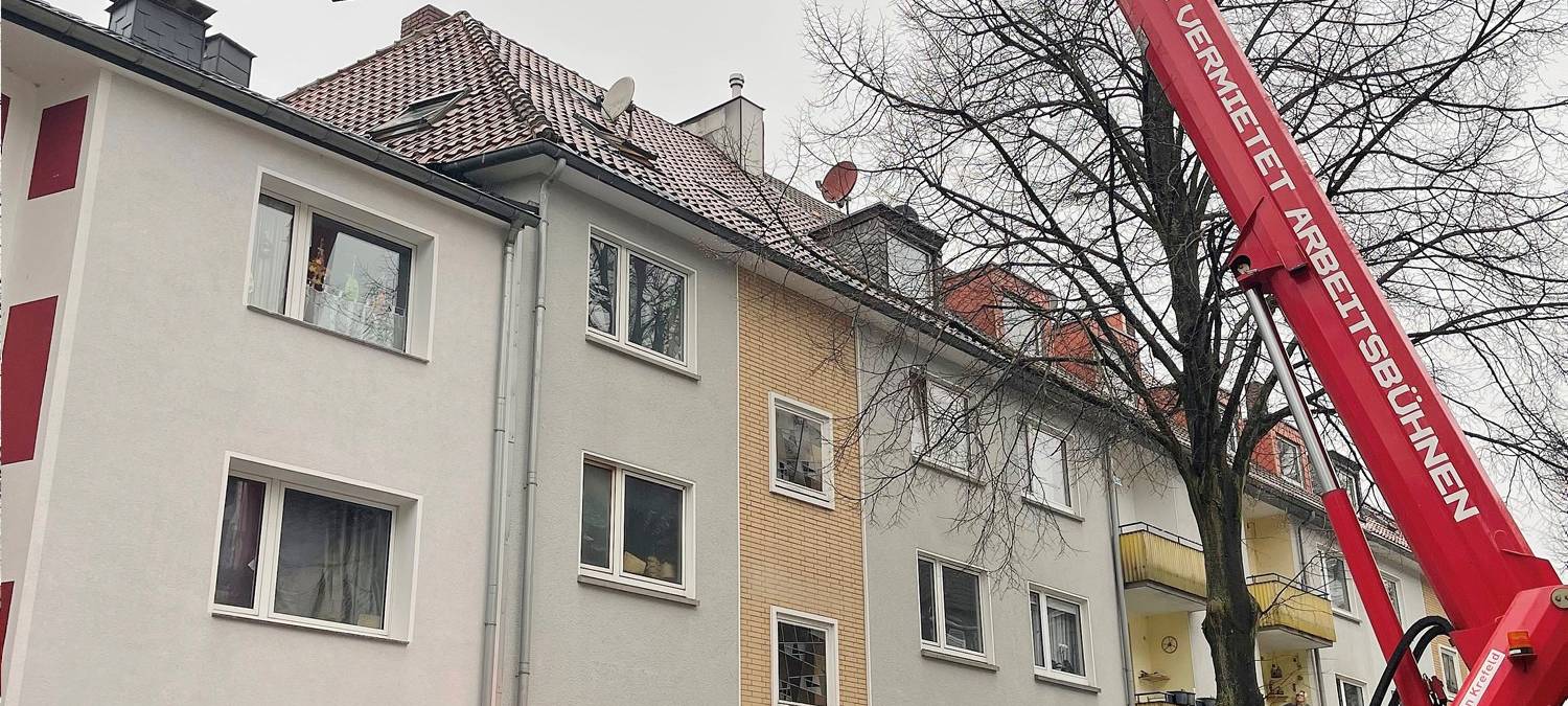 kater_katze-tierrettung-radio-essen