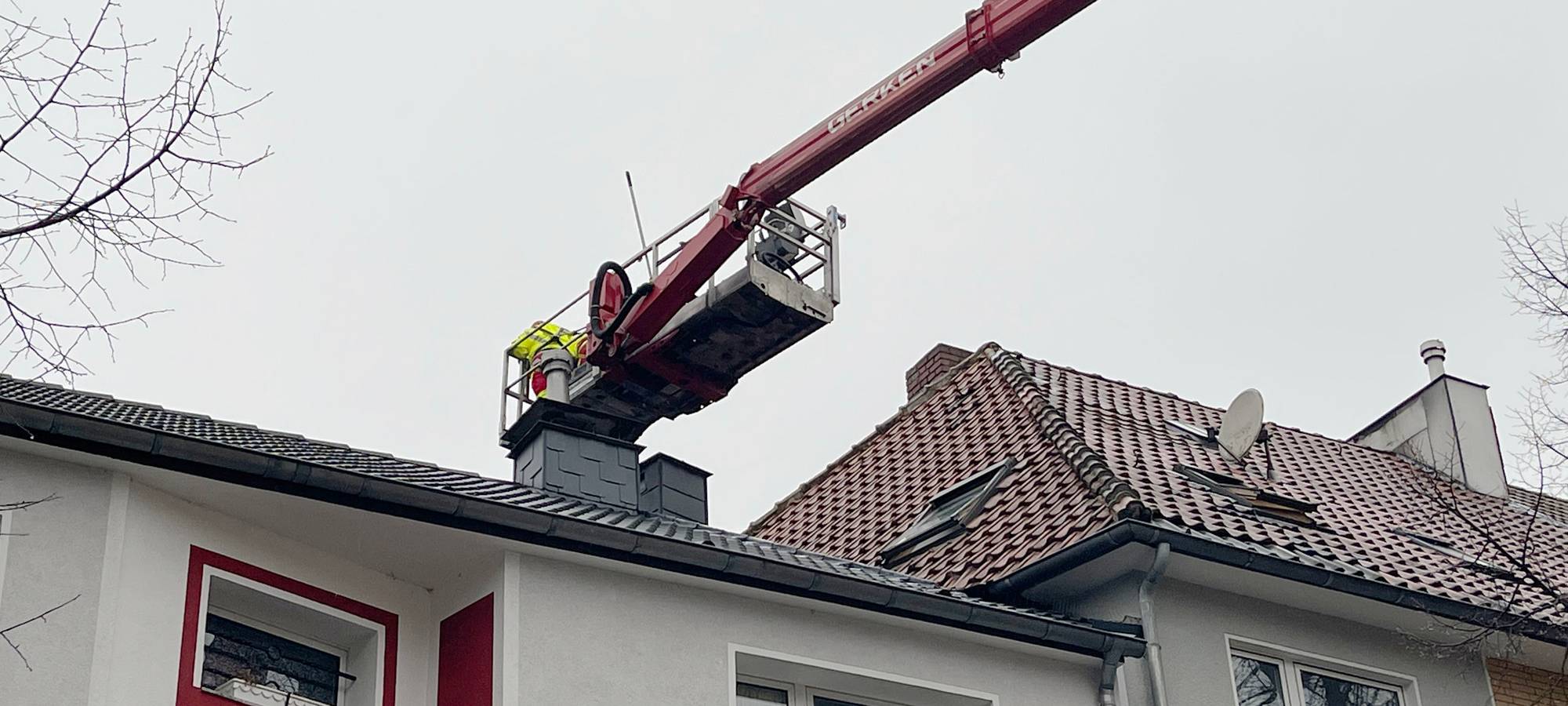 kater_katze-tierrettung-radio-essen