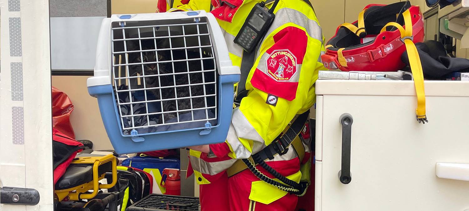 kater_katze-tierrettung-radio-essen