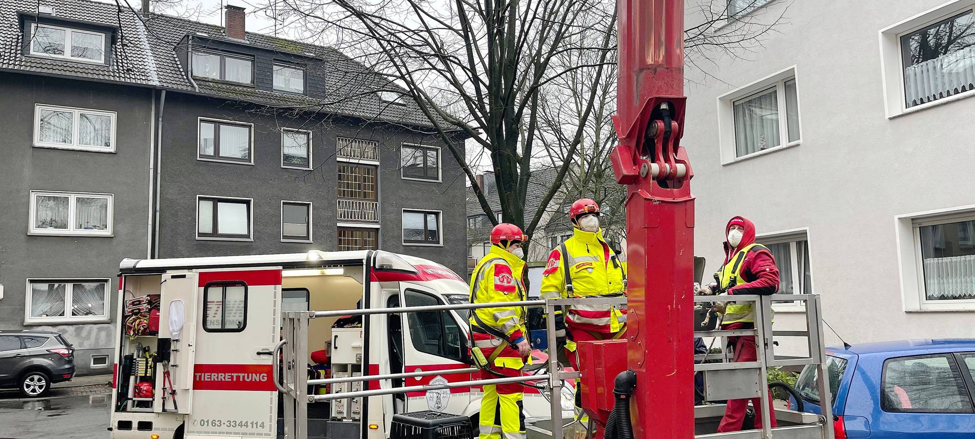 kater_katze-tierrettung-radio-essen
