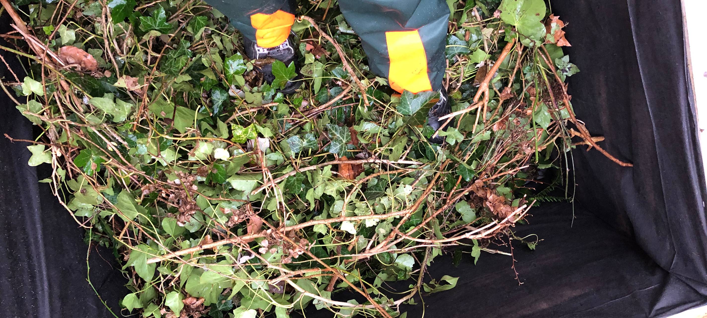 hochbeet-Anleitung-radio-essen