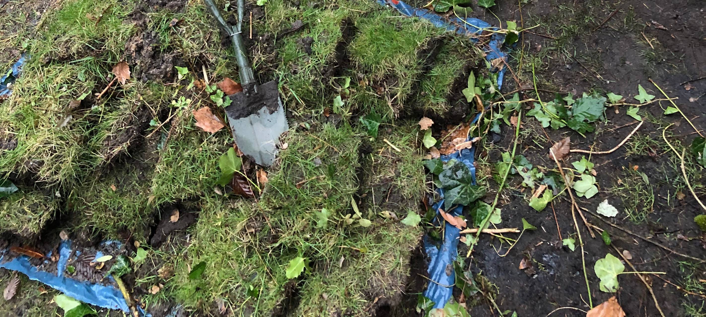 hochbeet-Anleitung-radio-essen