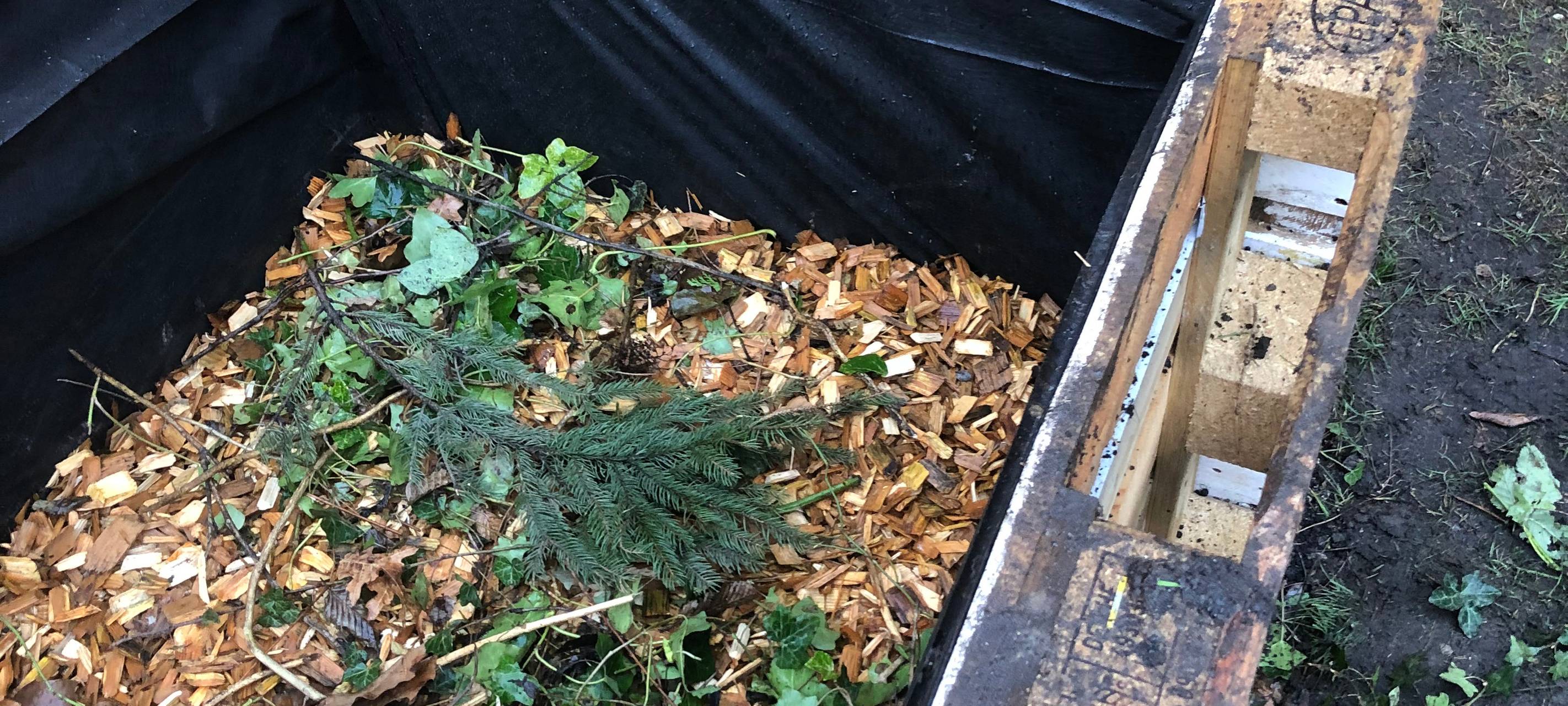 hochbeet-Anleitung-radio-essen