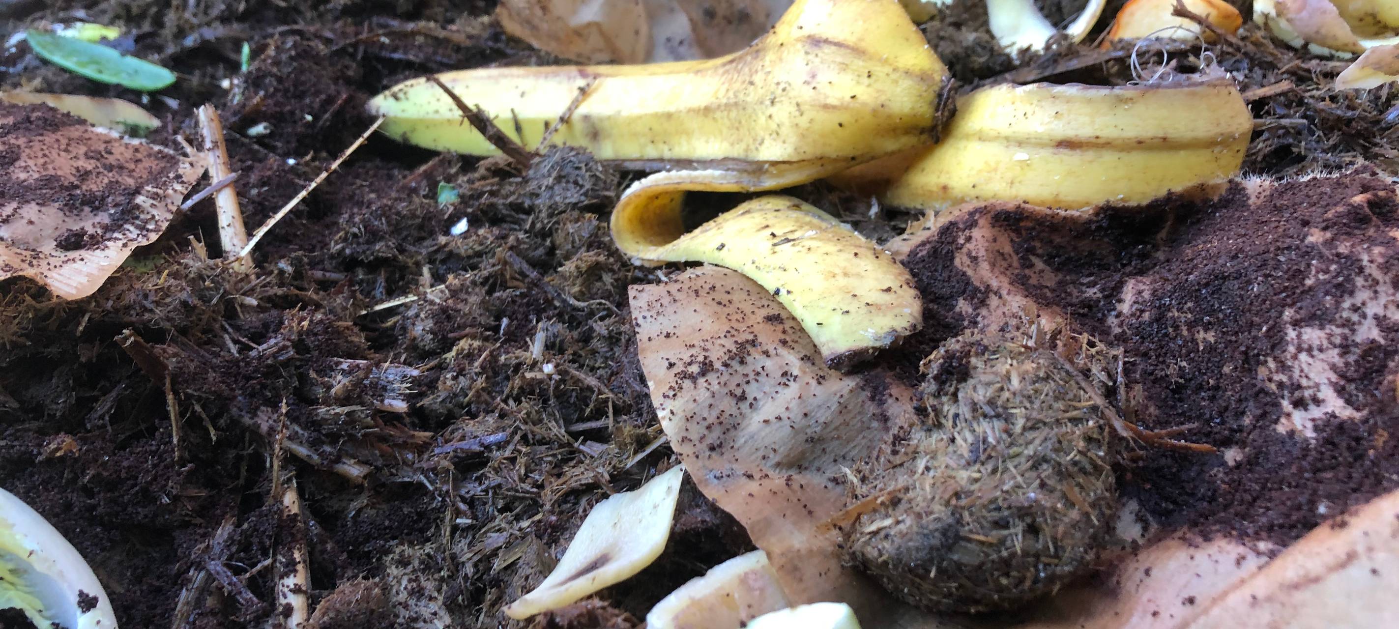 hochbeet-radio-essen