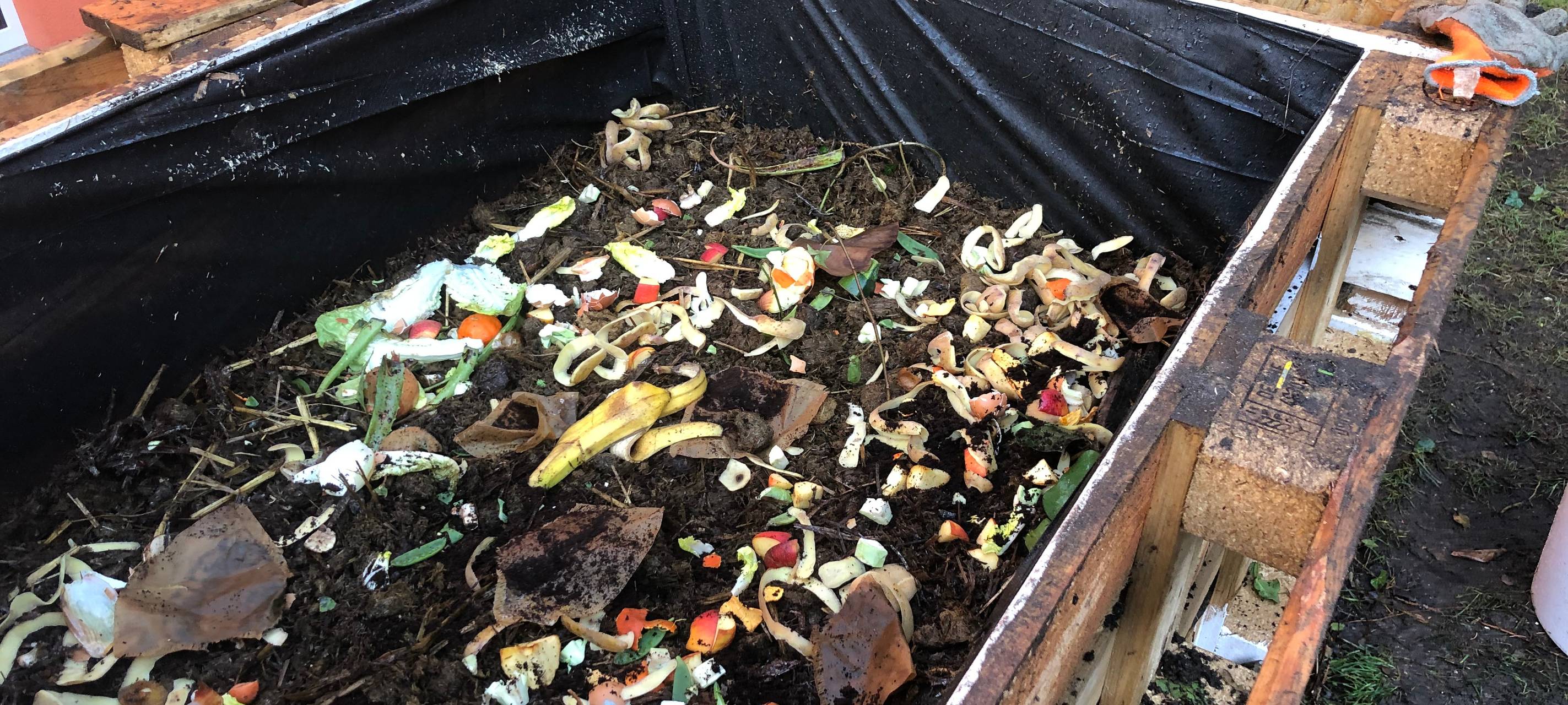 hochbeet-radio-essen