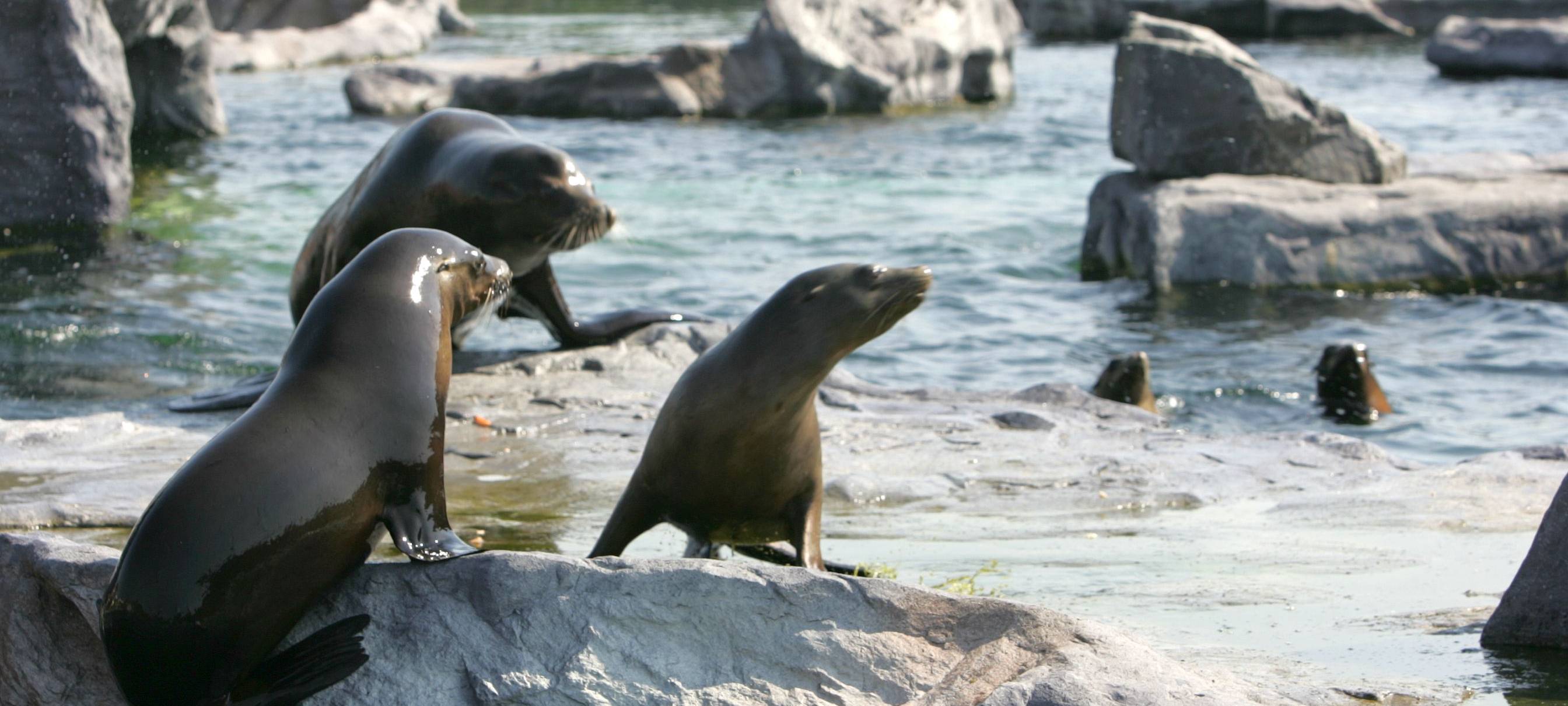 Essen: Spektakuläre Aufnahmen aus der ZOOM Erlebniswelt