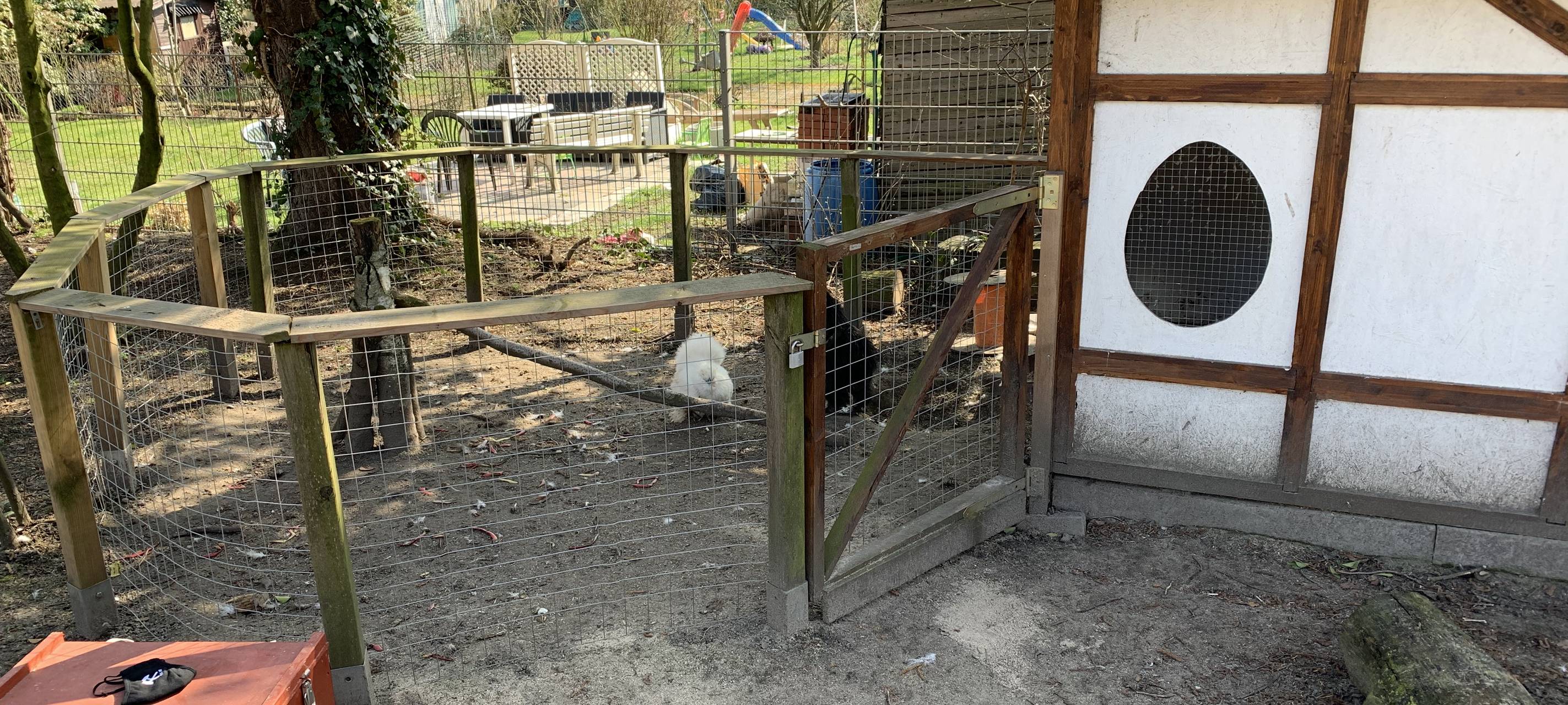 Trend in Essener Gärten: Hühner machen glücklich