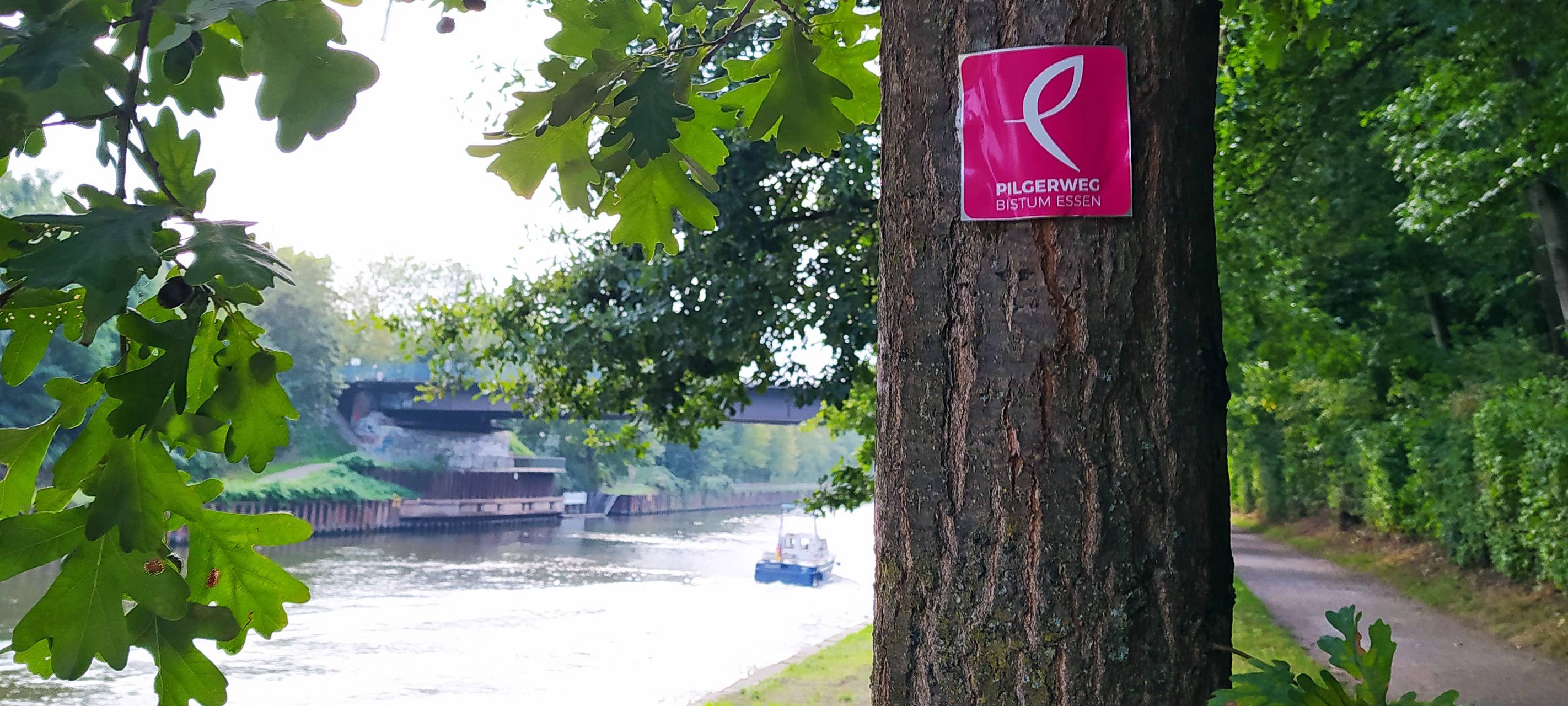 Essen: kostenloses Kartenspiel für Pilgerer