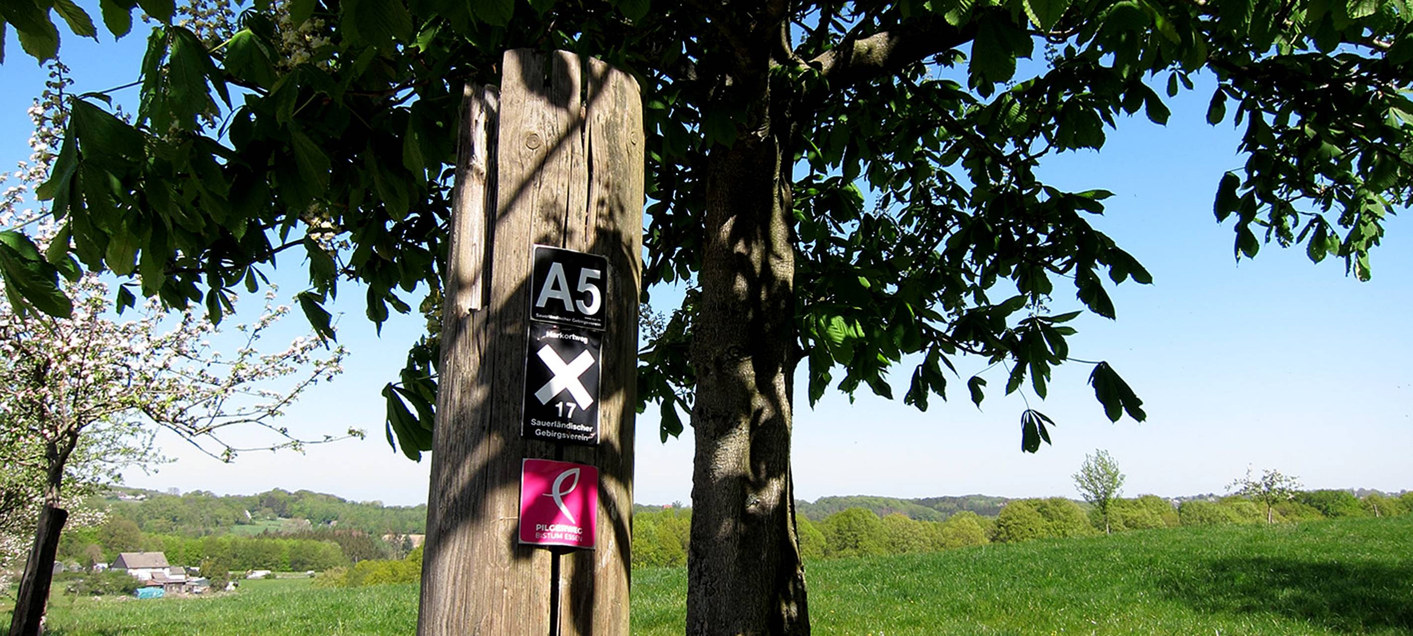 Essen: kostenloses Kartenspiel für Pilgerer