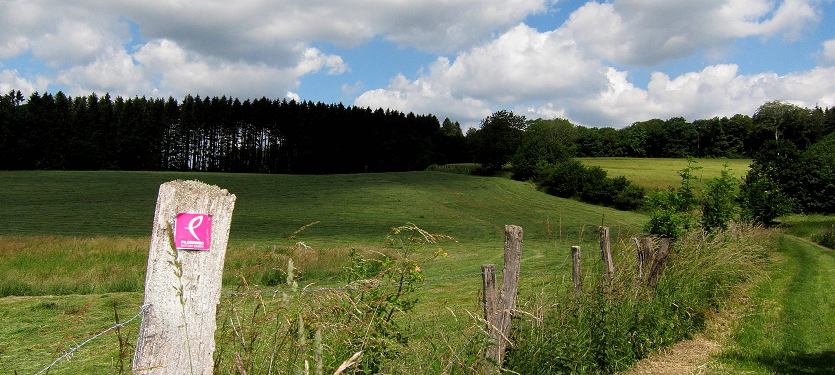 Essen: kostenloses Kartenspiel für Pilgerer