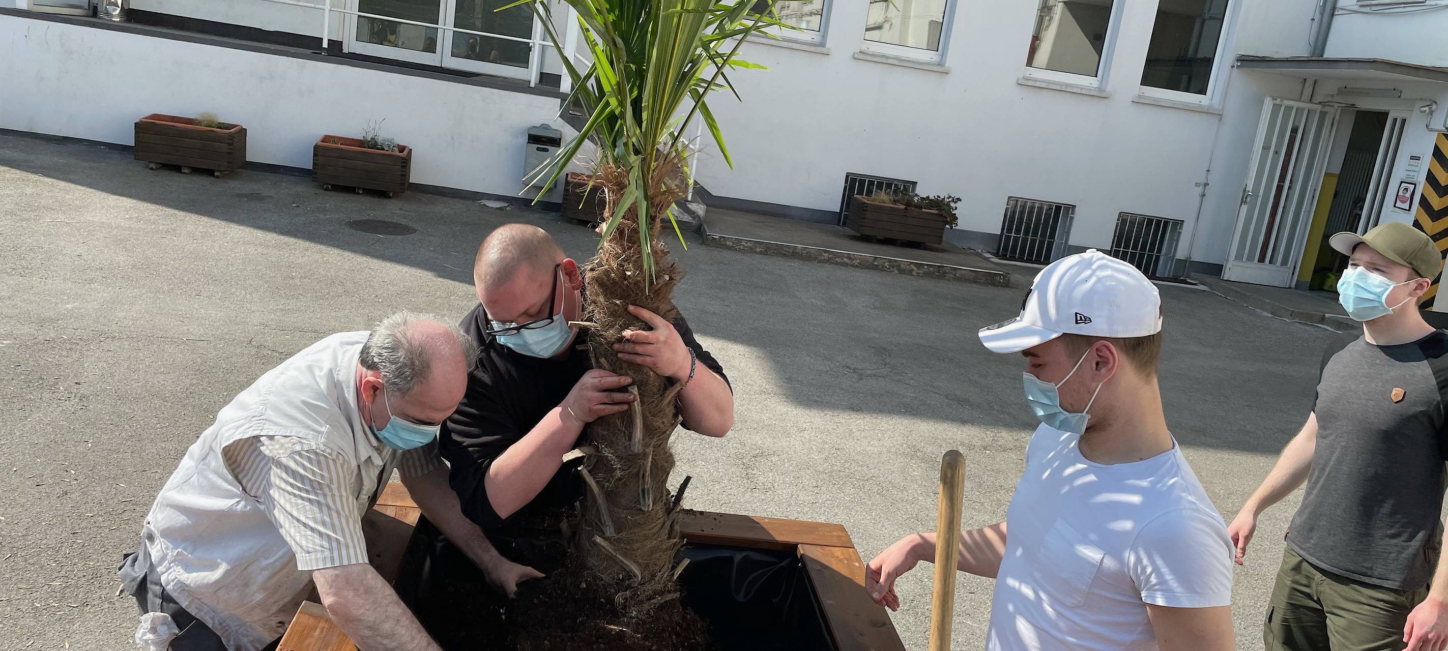 Essen: Jugendzentrum "Palme 7" bekommt sieben Palmen für Außenspielbereich