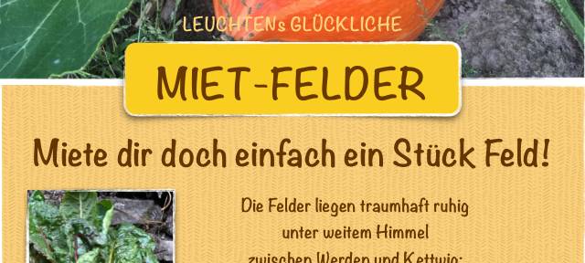 Felder zum Mieten in Essen: Frisches Gemüse selbst ernten