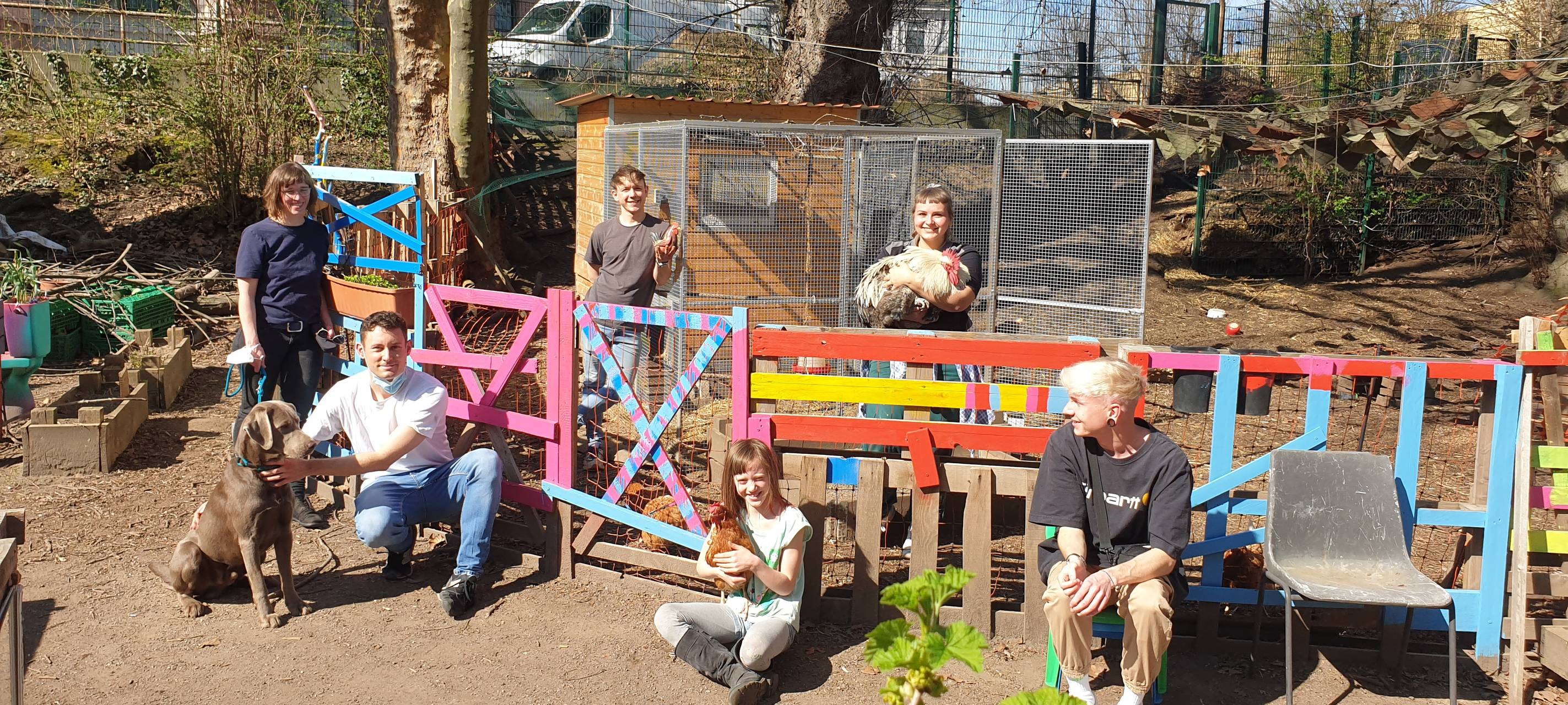 Gemeinschaftsgärten in Essen: Garten teilen wird immer beliebter