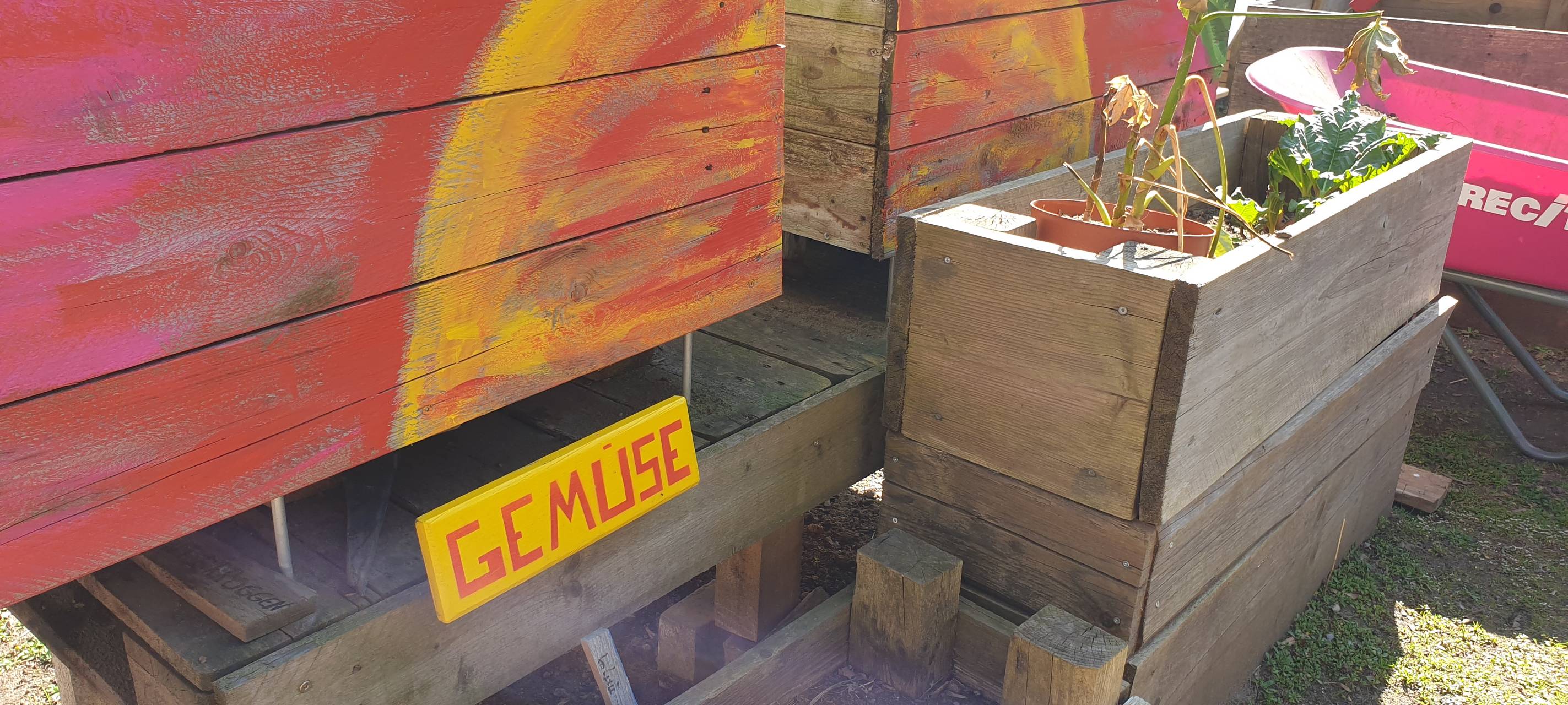 Gemeinschaftsgärten in Essen: Garten teilen wird immer beliebter