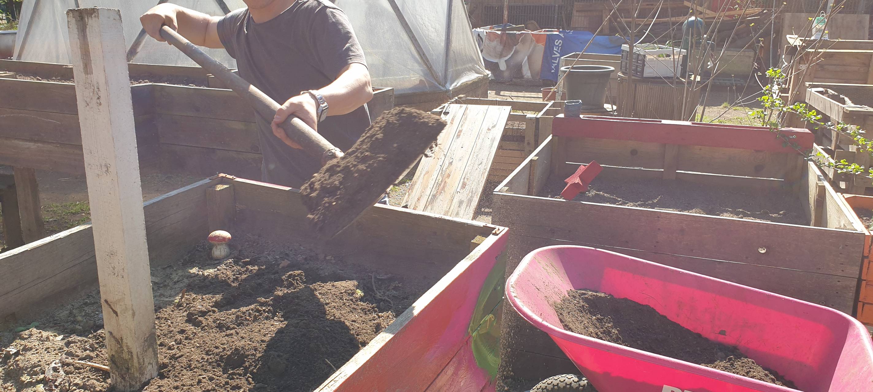 Gemeinschaftsgärten in Essen: Garten teilen wird immer beliebter